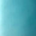 My-Passion-For-Animals-126242-0