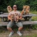 petsitter stranger