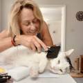 petsitter stranger