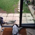 https://uk.holidog.com/ImagesPetSitters/92488CE3-4BCE-46C3-8E8C-B2949D929C01_square_120.jpg A-home-from-home!-205507-2