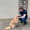 https://uk.holidog.com/ImagesPetSitters/948DC568-1A2E-4E59-915A-F487889EAB7A_square_120.jpg dog-and-cat-sitter-65356-3