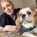 Loving,-Reliable-Care-for-Your-Pets-624862-3