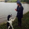 Trusted-pet-sitter,-Devon/Somerset-98045-1