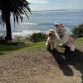 https://uk.holidog.com/ImagesPetSitters/9F79A421-F63F-4300-807D-F0FD0E9351DE_square_120.jpg Active-and-trustworthy-petsitter!--18413-0