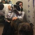 https://uk.holidog.com/ImagesPetSitters/9FB4D250-8894-42EE-8590-35A986A24C40_square_120.jpg Experienced-Veterinary-Student-276731-1