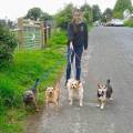 https://uk.holidog.com/ImagesPetSitters/A2B03112-78CB-4727-84BD-8425EE75561E_square_120.jpg Dog-Enthusiast--210506-0