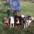 https://uk.holidog.com/ImagesPetSitters/A7CDCD18-F37F-4723-B0FD-A9925B36CA2C_square_120.jpg 9268-2