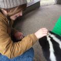 https://uk.holidog.com/ImagesPetSitters/A855F6FC-763D-4C70-B3AA-710BA0A2DBE5_square_120.jpg Giving-pets-a-happy-holiday!-39635-2