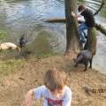 https://uk.holidog.com/ImagesPetSitters/AD3E1298-CA6B-4931-9856-C02859BB7D22_square_120.jpg 63723-3