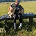 Trusted-Dog-Walks-Near-You-629109-0