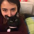 https://uk.holidog.com/ImagesPetSitters/B205D04C-AD03-453D-8CDF-305B6FF86D31_square_120.jpg Woof-and-miau-lover-!--264353-2