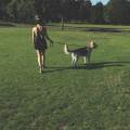 https://uk.holidog.com/ImagesPetSitters/B71BFECF-CE08-4BE2-941D-CB4FE42B2347_square_120.jpg Animal's-best-friend!-:)-208917-3