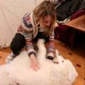 Pet-sitting-UB56PB+3mi-----------604651-2