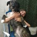 https://uk.holidog.com/ImagesPetSitters/BA8B4AF4-63E1-4040-9F0A-D8EF6B8A58B4_square_120.jpg Pet-care-from-a-true-dog-enthusiast-631157-3