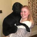 Dedicated-And-Devoted-Pet-Carer!-219204-0