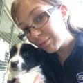 Zookeeper,-EXP-RSPCA-care-assistant-91553-0