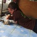 Animal-lover-with-experience-92915-1