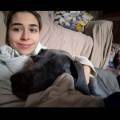 https://uk.holidog.com/ImagesPetSitters/BE9AB4B1-8D57-4E2A-8140-7F703A8CB6E6_square_120.jpg Dog-and-cat-lover!--629502-0