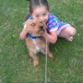 https://uk.holidog.com/ImagesPetSitters/C3DE95CF-57EA-4D27-AEAE-7D2005BC9992_square_120.jpg My-dog-is-the-Prince-of-the-House-101562-3