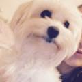 https://uk.holidog.com/ImagesPetSitters/C439D9D5-F19D-4424-B0D9-711F2F761519_square_120.jpg Friendly-family-home--116270-0