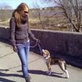 https://uk.holidog.com/ImagesPetSitters/C5A12547-5AD7-430F-93FA-EA68CFC7E860_square_120.jpg 40588-3