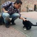 https://uk.holidog.com/ImagesPetSitters/CAA40BE8-30AE-43FC-9329-7FC5439E7AE5_square_120.jpg A-gentle-touch-from-a-human-friend-101031-1