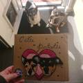 https://uk.holidog.com/ImagesPetSitters/CAB5E044-BDF6-46B4-9C58-F1E7AB679C4E_square_120.jpg PoonDoodle-Paws,-Claws-&-More-238780-1