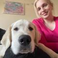 Loving,-Reliable-Care-for-Your-Pets-624862-2