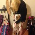 https://uk.holidog.com/ImagesPetSitters/CEAD5BA7-9AB0-4461-BFF4-868B8D426275_square_120.jpg 47486-2