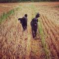 https://uk.holidog.com/ImagesPetSitters/CF2B5449-B82D-4266-B104-C6E865277D88_square_120.jpg Doodle-/-general-animal-Lover-156646-1