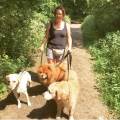 https://uk.holidog.com/ImagesPetSitters/D26489B1-6609-4C33-9D13-B5CD33BAEF6C_square_120.jpg 57954-2