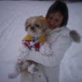 https://uk.holidog.com/ImagesPetSitters/D62D0BFB-8527-425C-B45C-49C712718B48_square_120.jpg No.-1-Pet-Lover-63084-3