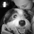 Chloe's-canine-cuddles-244012-1