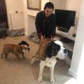 https://uk.holidog.com/ImagesPetSitters/D96EA9F9-56FF-4442-9FA8-14754162854A_square_120.jpg Reliable-pet-sitter-79062-2