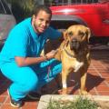 Veterinary-and-Animal-Lover-94624-0
