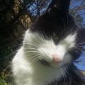 https://uk.holidog.com/ImagesPetSitters/DC218C25-42C3-4C0B-842A-20D82D093ED0_square_120.jpg 24863-3
