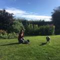https://uk.holidog.com/ImagesPetSitters/DE13A15F-05F2-4DA4-9FAA-FE0C7CA3D381_square_120.jpg Petsitter-for-dogs-331153-3