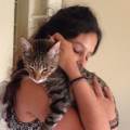 https://uk.holidog.com/ImagesPetSitters/DE36B16F-302D-4228-AB03-741B41AF428C_square_120.jpg Cat-Lover-203410-0