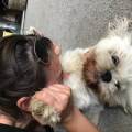 Animal-lover-throughout-❤️🐶-238684-1