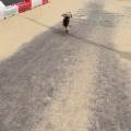https://uk.holidog.com/ImagesPetSitters/E2E59E57-5841-40AA-AB28-FC9C75F69BCB_square_120.jpg Doggy-Everything-:)--602407-2