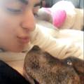 https://uk.holidog.com/ImagesPetSitters/E430F18B-7623-4D3D-9738-2F862D18A678_square_120.jpg A-loving-habitat-your-pets-deserve!-21586-0