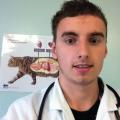 Veterinary-Student--77913-3