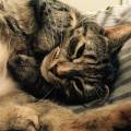 https://uk.holidog.com/ImagesPetSitters/EDEA0E11-6349-4B74-8B3C-8AD926338D0B_square_120.jpg Animal-Lover-184036-1
