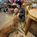 Pet-sitting-UB56PB+3mi-----------604651-3
