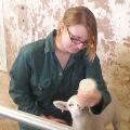 https://uk.holidog.com/ImagesPetSitters/F34418EF-E131-4446-BF9F-C9131D7D44AB_square_120.jpg Qualified-Pet-Sitter-8784-0