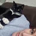 Loving-pet-sitter-available-630410-1