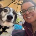 https://uk.holidog.com/ImagesPetSitters/FB49908C-4B3B-40D2-9506-1D596DECD437_square_120.jpg Calm-Care-in-Your-Dog's-Home-🐾-656646-0