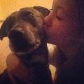 https://uk.holidog.com/ImagesPetSitters/FD71E5B1-2F44-4C27-8356-3DBC16D08D27_square_120.jpg 25881-0
