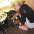 https://uk.holidog.com/ImagesPetSitters/FDE97556-5EE7-4B14-9EFE-2EC6ECC3F7D8_square_120.jpg It's-not-a-job.-I-just-love-dogs.-87733-2