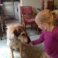 https://uk.holidog.com/ImagesPetSitters/FEBA0FC3-FC8B-4E37-A62A-3E6B9A3432DD_square_120.jpg 8529-3